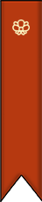 Banner Tab Icon